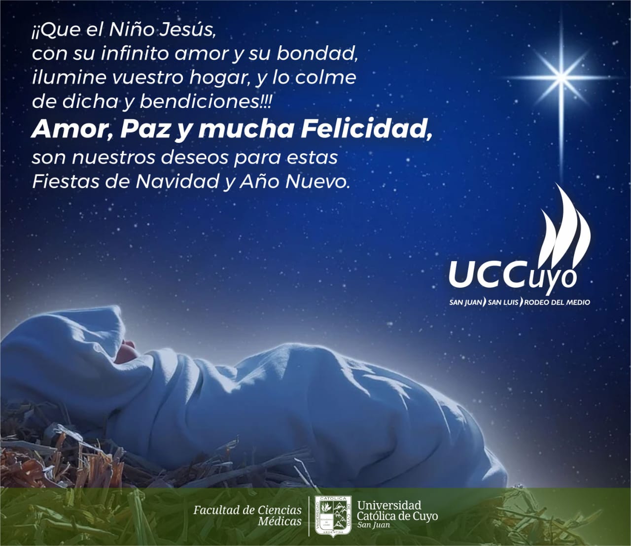 FELICES FIESTAS